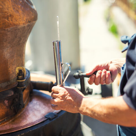 Republicans pushing to lower alcohol taxes in new jersey to attract new businesses - photo licensed by shore news network.