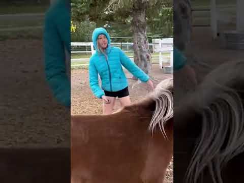 This Pony Didn't Trust Anyone Until She Met This Teenager | The Dodo