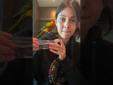 Went 0 To 100 Real Quick | The Dodo