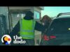 This dog will do anything to befriend every stranger | the dodo