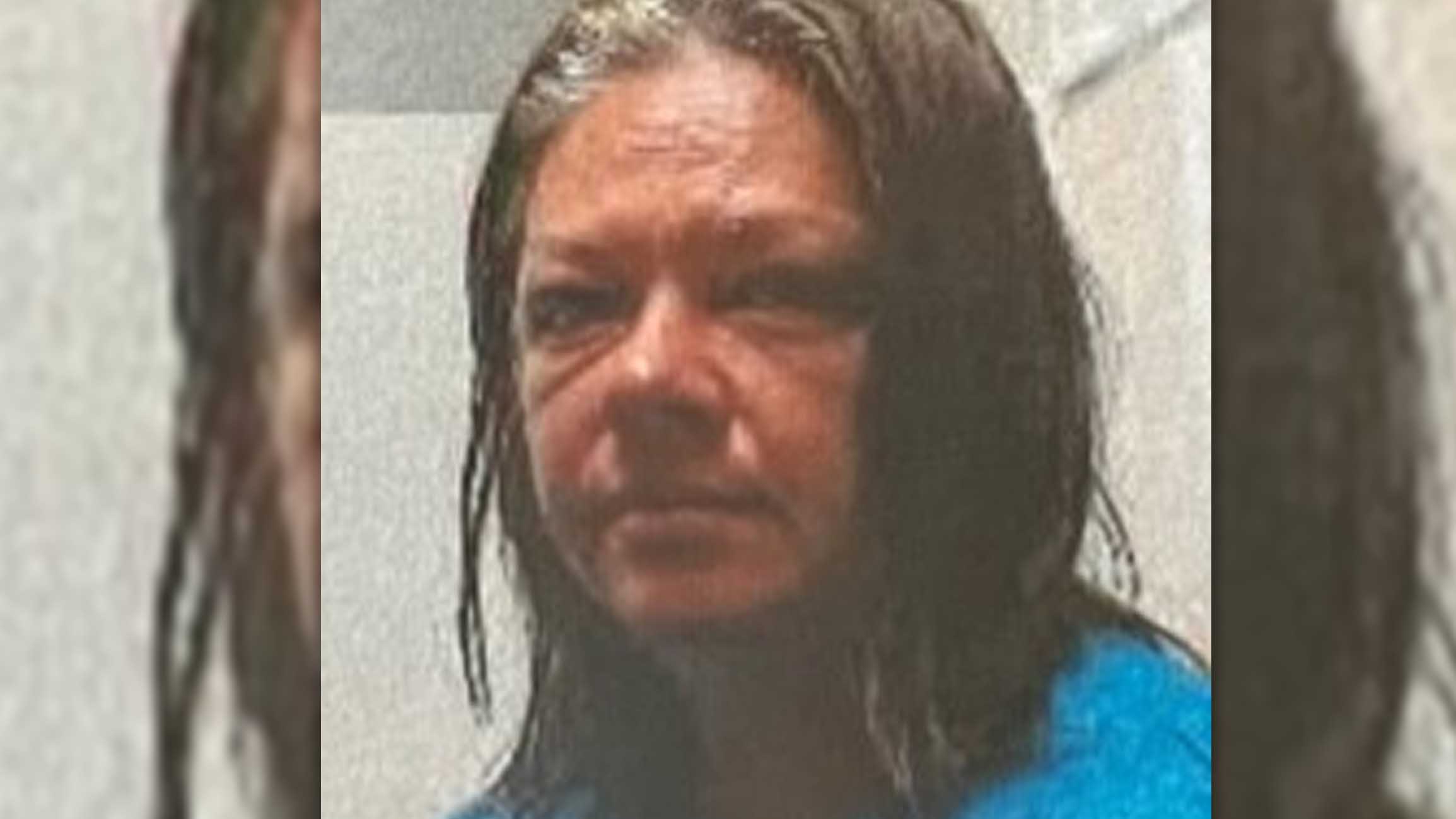 Delaware State Police Issue Gold Alert for Missing Newark Woman, Lisa Flade