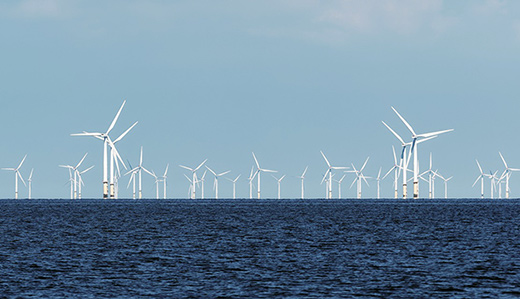 Southern Shore Lawmakers Say Unprecedented Whale and Dolphin Deaths Warrant Suspension of Offshore Wind Projects