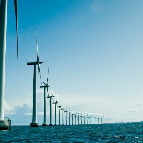 Congressman slams biden, murphy for 'shoddy' offshore wind farm strategy in new jersey - photo licensed by shore news network.