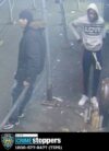 Nypd seeks public's help in identifying slashing suspects in washington heights