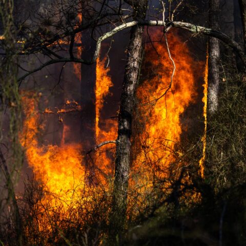 Monroe township fire completely out, officials report - photo licensed by shore news network.