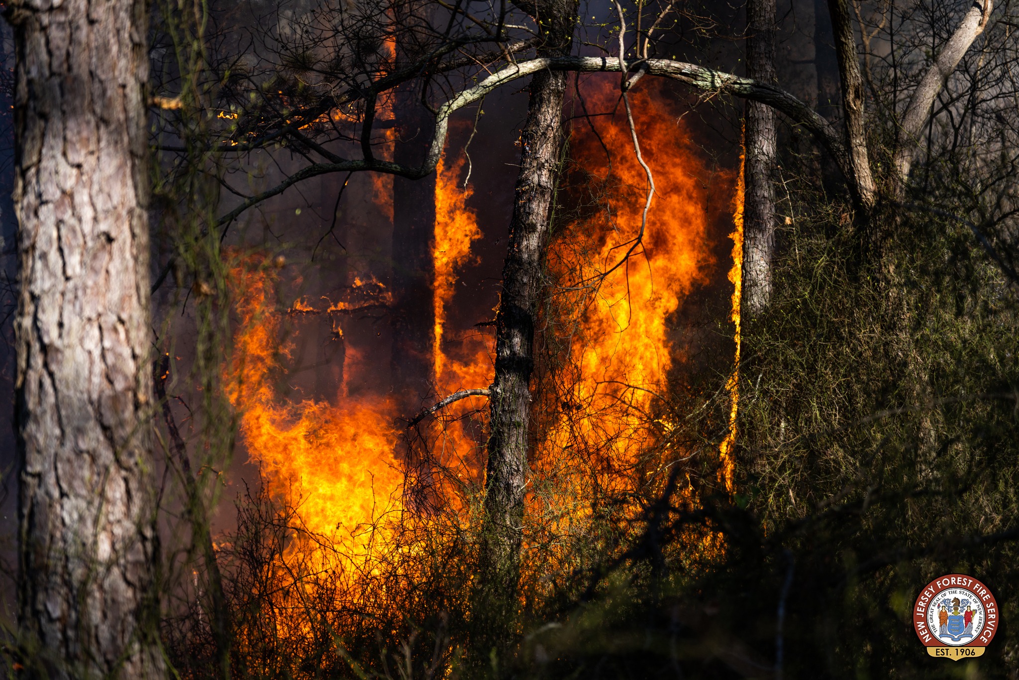 Monroe Township fire completely out, officials report