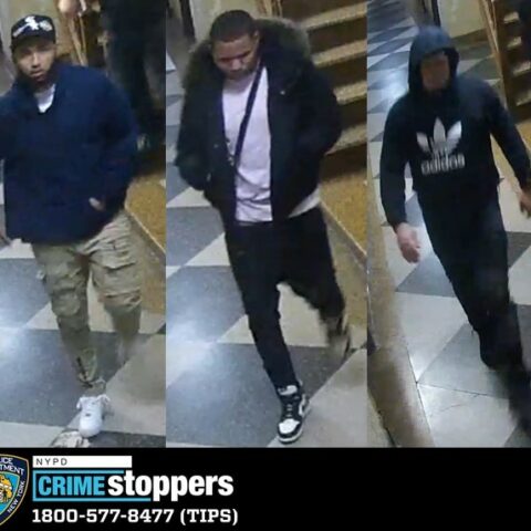 Attackers make off with $3200 worth of liquor in bronx armed robbery - photo licensed by shore news network.