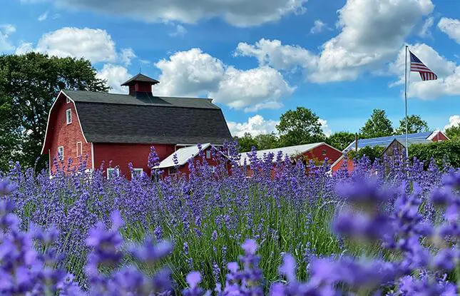 Five must-see farm-based day trip destinations in New Jersey during spring
