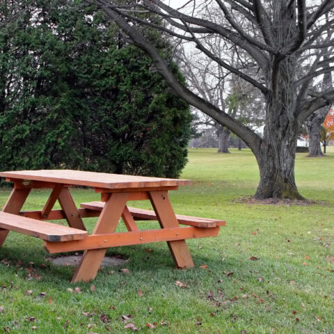 Evesham police investigating bias graffiti on park picnic table - photo licensed by shore news network.