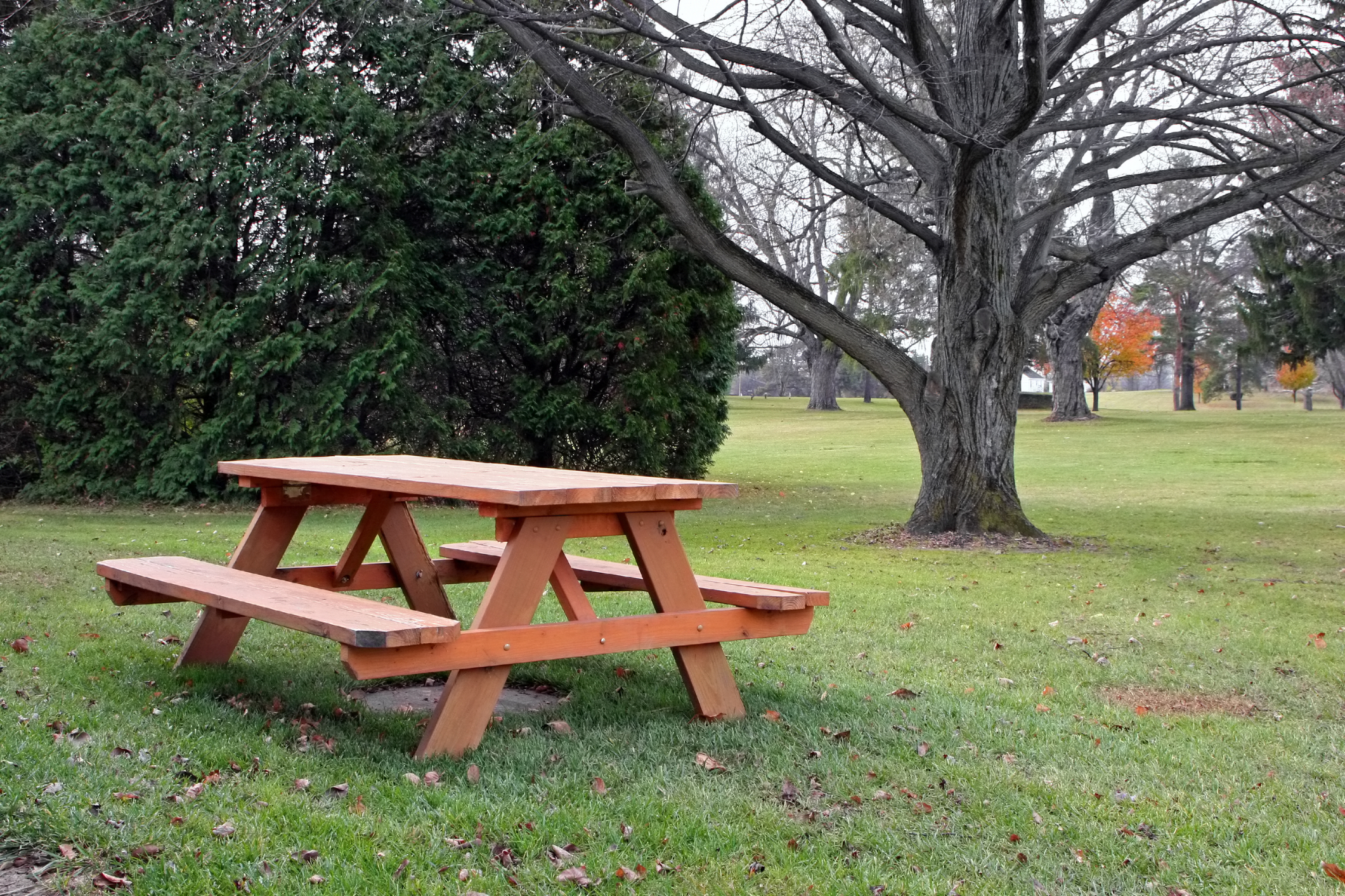 Evesham police investigating bias graffiti on park picnic table
