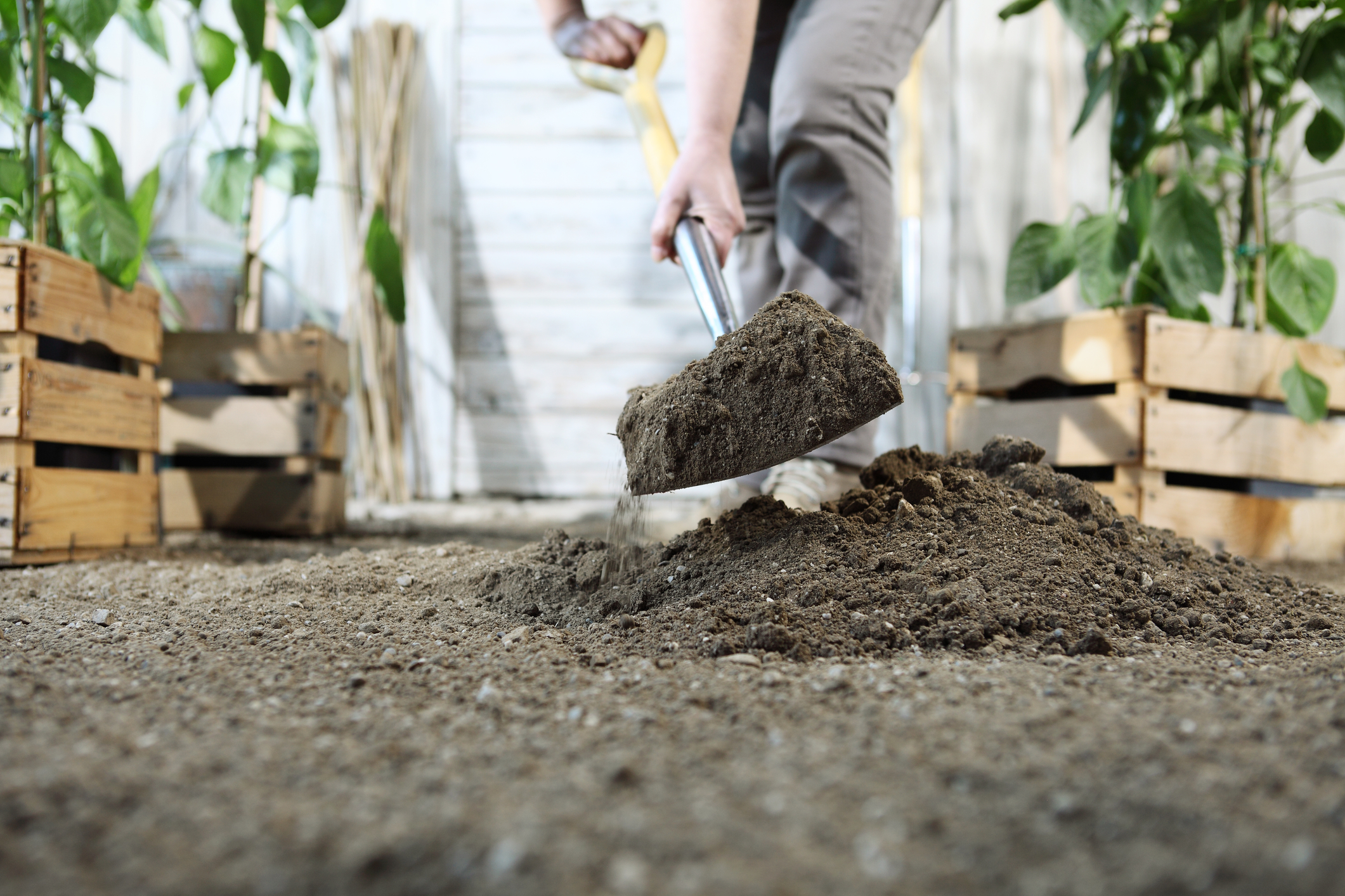 April is not too late to get your New Jersey garden soil ready for summer bounties
