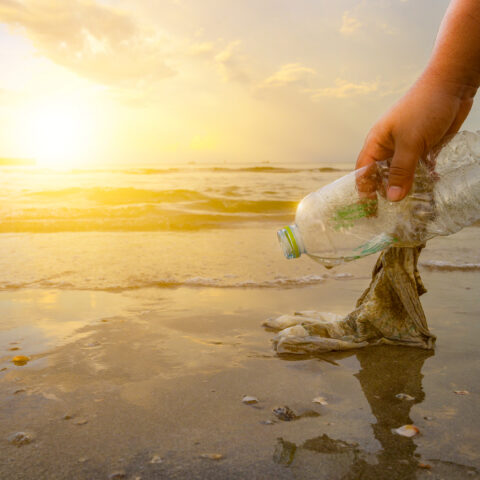 Warm weather has us thinking about the beach in new jersey and the trash we leave there - photo licensed by shore news network.