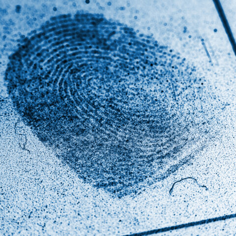 Fingerprint analysis leads newark police to unsolved armed robbery - photo licensed by shore news network.