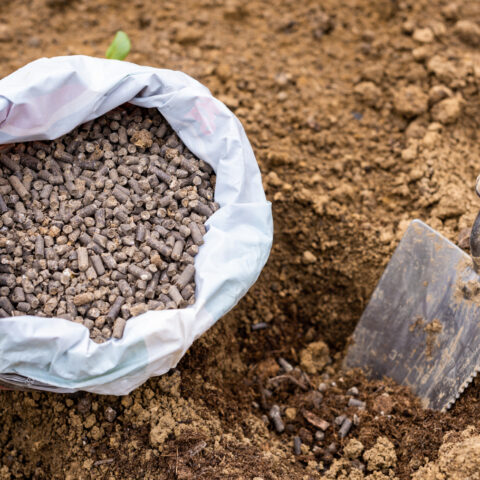 It's april, new jersey gardeners can start getting ready for summer right now - photo licensed by shore news network.