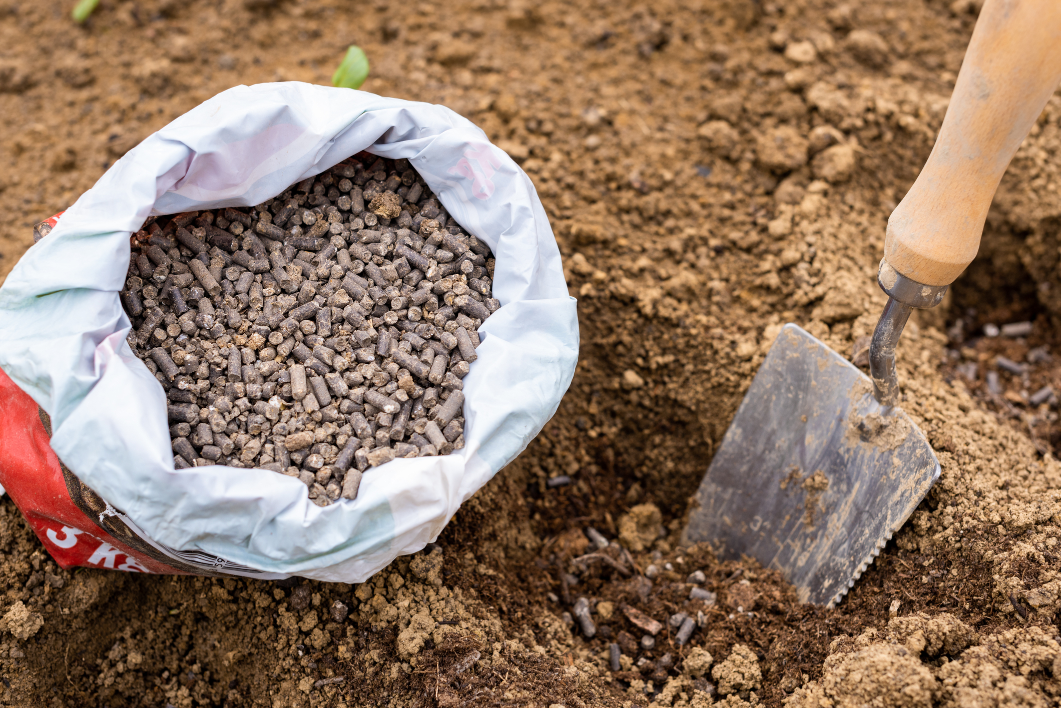 It's April, New Jersey gardeners can start getting ready for summer right now