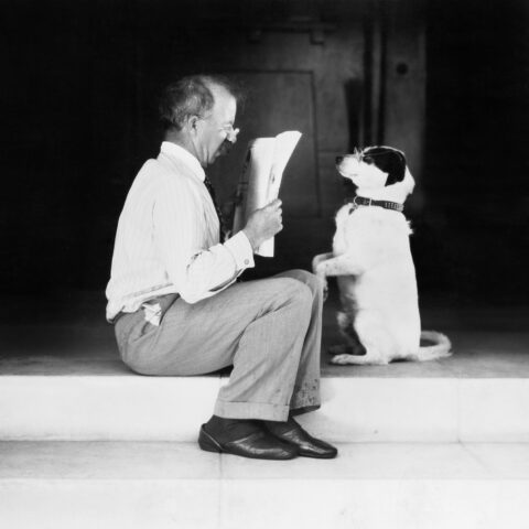 Toms river's quarter-million dollar newspaper contract possibly violating state campaign law - photo licensed by shore news network.