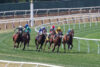 Elmont man convicted of murder for 2018 stabbing at belmont racetrack