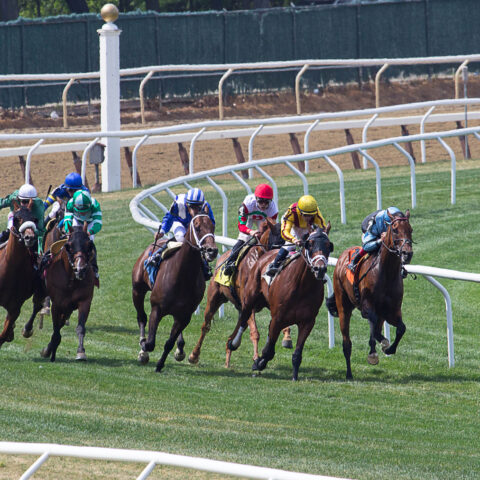 Elmont man convicted of murder for 2018 stabbing at belmont racetrack - photo licensed by shore news network.
