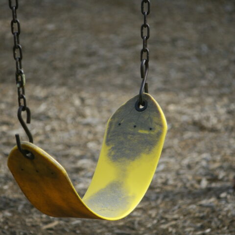 Jackson family appeals board denial of swingset in front yard - photo licensed by shore news network.