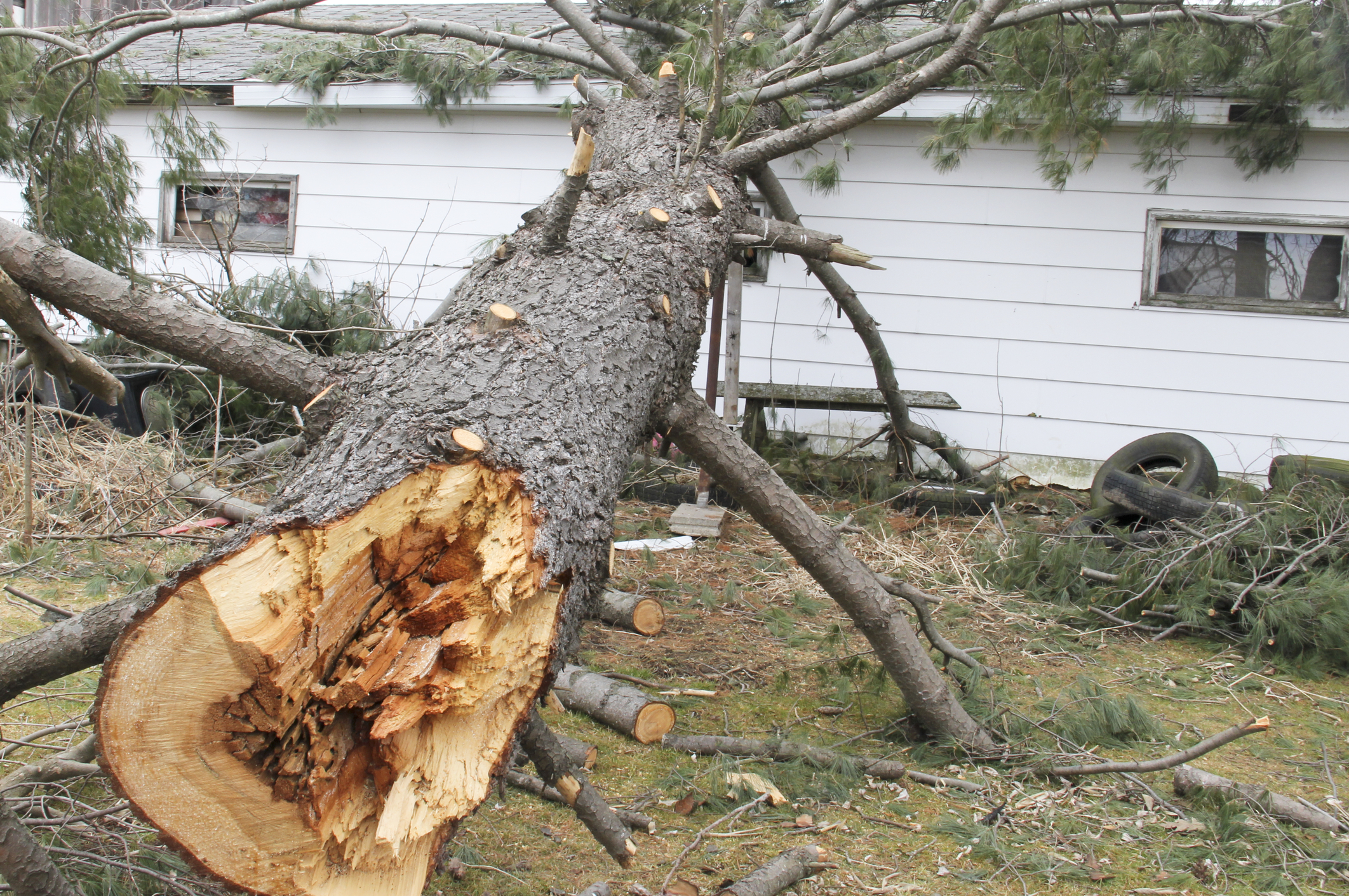 Jackson mayor says Governor never called after EF-2 tornado struck the town
