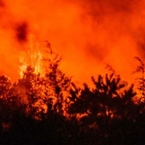 Echo lake road fire spreads to 648 acres on thursday - photo licensed by shore news network.