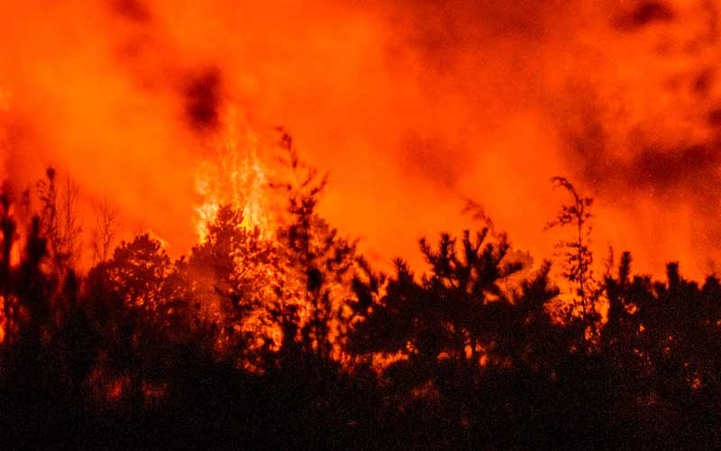 Echo Lake Road fire spreads to 648 acres on Thursday