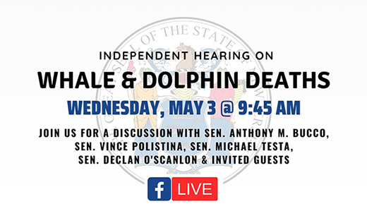 MEDIA ADVISORY (5/3): Senate Republicans to Hold Independent Hearing on Whale & Dolphin Deaths, Wind Farm Concerns