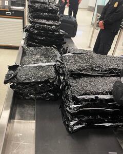 Philadelphia CBP Intercepts 72-Pound Ireland-Bound Marijuana Load, HSI Arrests California Man