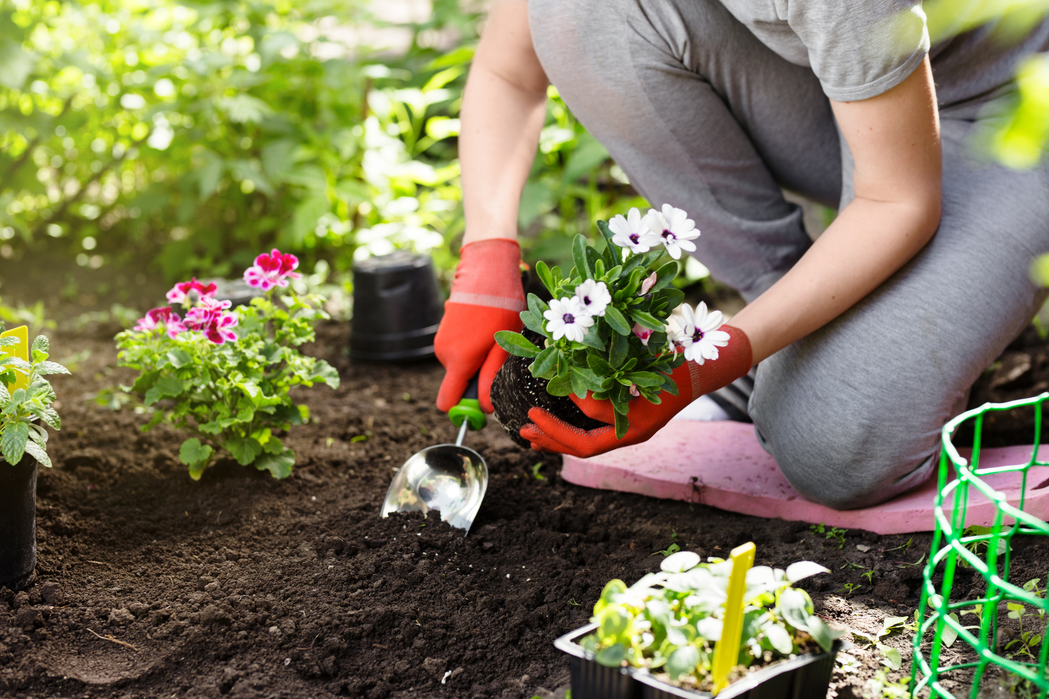 You don't have to wait until Mother's Day to plant flowers in New Jersey