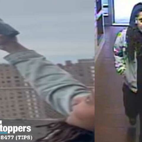 Woman fired gun from rooftop of public housing project in new york city - photo licensed by shore news network.