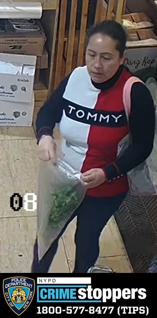 Thief targeting unsuspecting women in Flushing Thief targeting unsuspecting women in Flushing