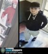 Mailbox theft suspects sought on staten island