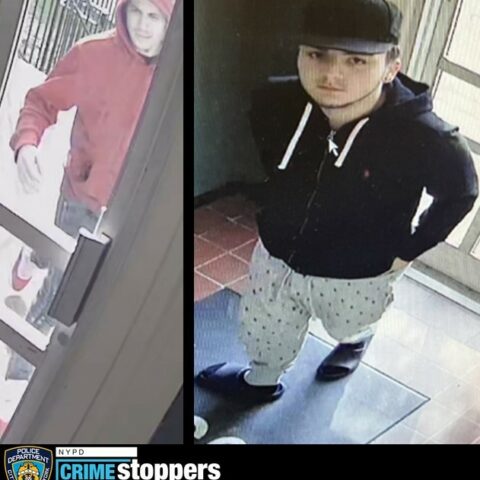 Mailbox theft suspects sought on staten island - photo licensed by shore news network.