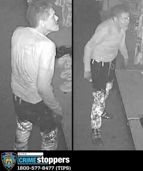 Burglary Suspect Sought After Break-In at Bronx Business