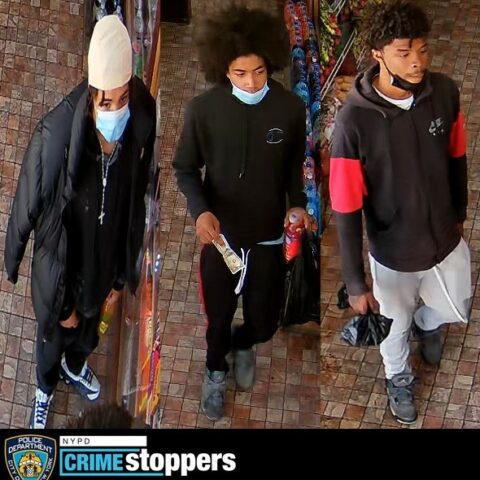 Elderly woman accosted and robbed in the bronx - photo licensed by shore news network.