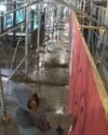 Newark seeks public help identifying graffiti suspects