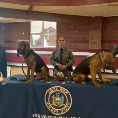 State police bring k-9, scuba team to plattsburgh ymca - photo licensed by shore news network.
