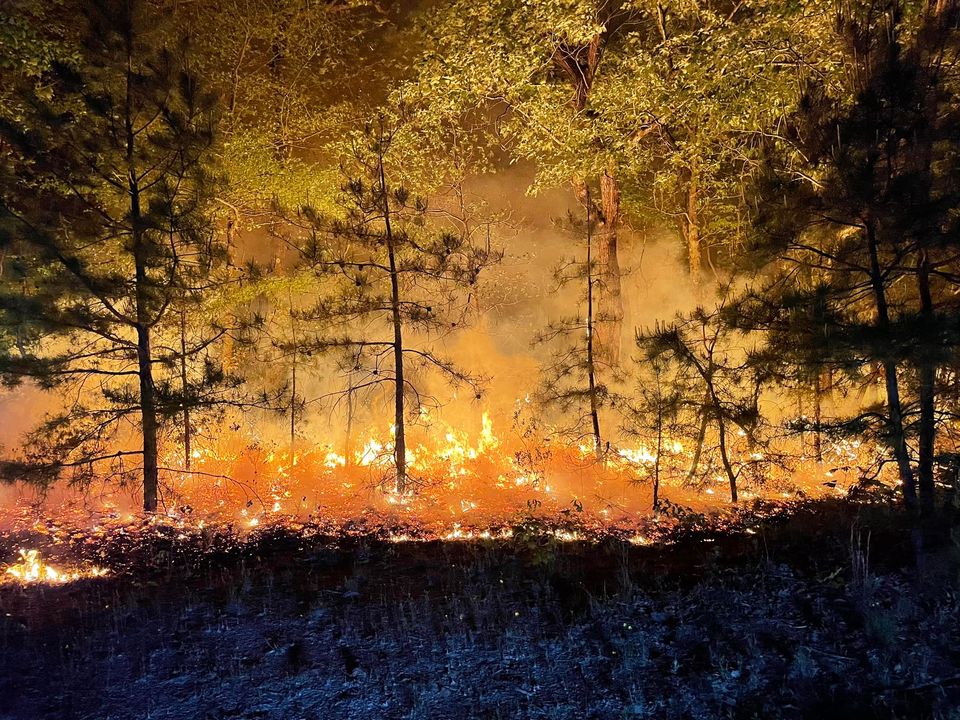 Overnight brush fire in Marlton contained