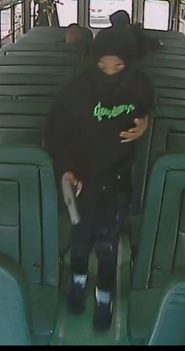 Police seeking juveniles armed with gun in assault on school bus