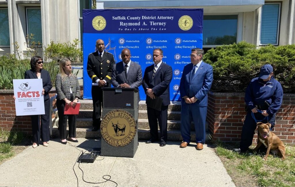 Suffolk County announces fund for animal cruelty pet survivors