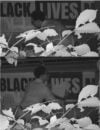 Theft at ark and dove presbyterian church in odenton