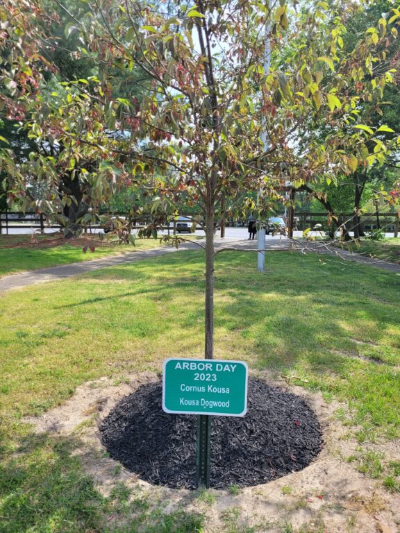 Lakewood Township, Shade Tree Commission Join Forces to Celebrate Arbor Day