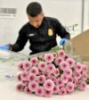 Mother’s day flower rush at lax, a busy time for cbp agriculture specialists