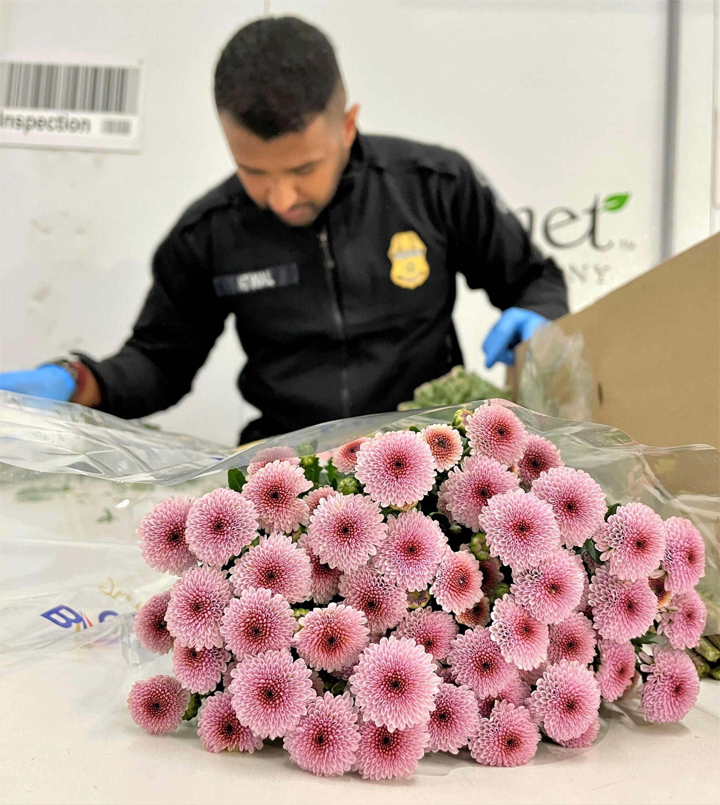 Mother’s Day Flower Rush at LAX, a Busy Time for CBP Agriculture Specialists