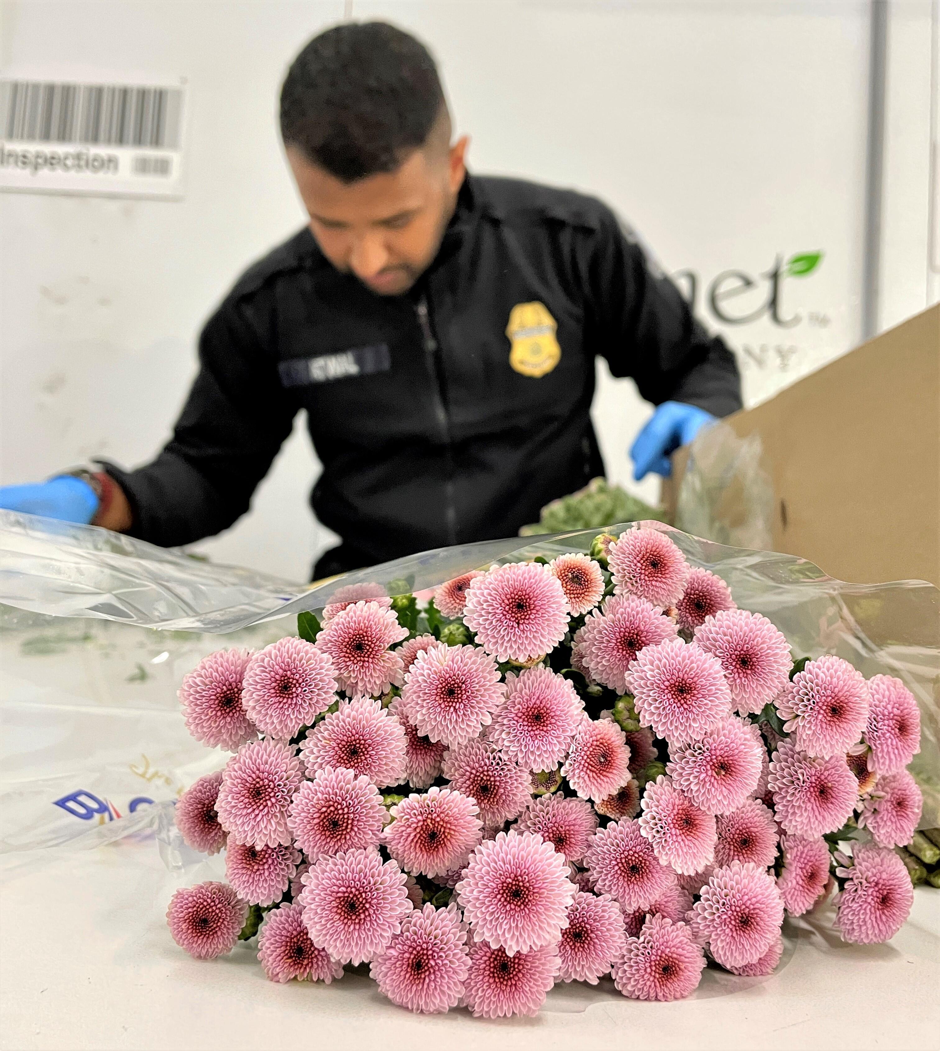 Mother’s Day Flower Rush at LAX, a Busy Time for CBP Agriculture Specialists LAX Flowers Inspection 13
