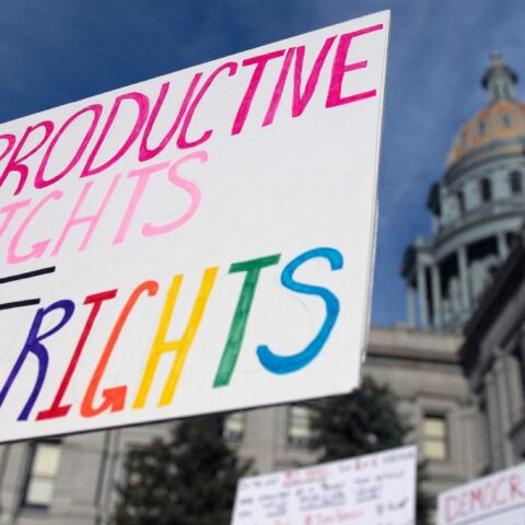 ‘a tactical decision’: left-wing activists see state courts as avenues to advance their agendas - photo licensed by shore news network.