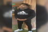 Northwest philadelphia teen reported missing