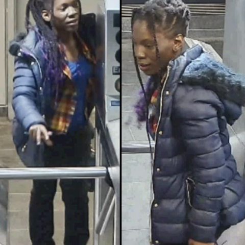 Woman attacked inside nyc subway station - photo licensed by shore news network.