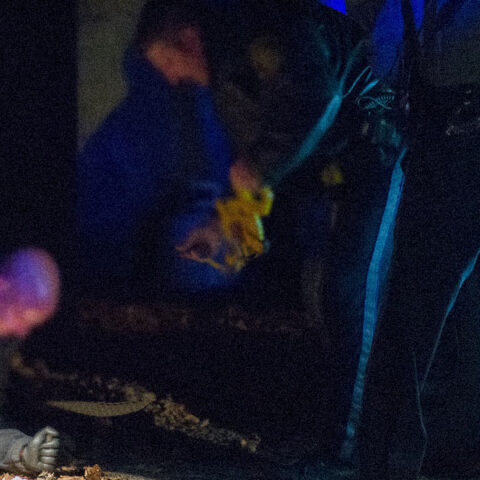 Juvenile struck in paterson shooting - photo licensed by shore news network.