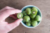 Did you know you can grow these kiwis in your new jersey garden?